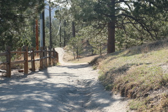 Enlarge photo 29