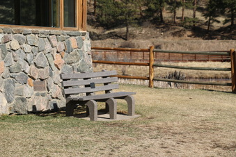 Enlarge photo 66