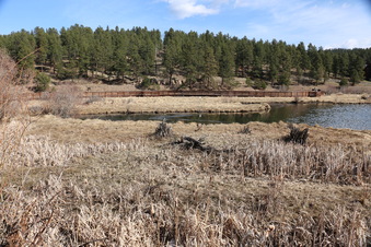 Enlarge photo 73