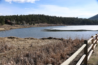 Enlarge photo 74