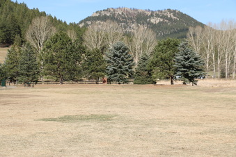 Enlarge photo 77