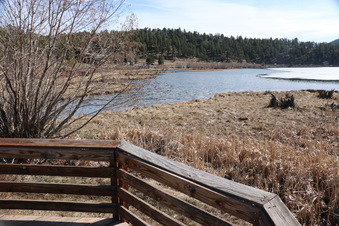Enlarge photo 83