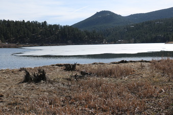 Enlarge photo 84