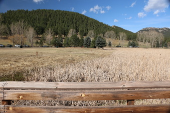 Enlarge photo 92