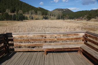 Enlarge photo 94