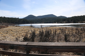 Enlarge photo 97