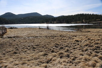 Enlarge photo 103