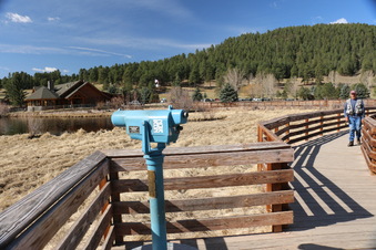 Enlarge photo 113