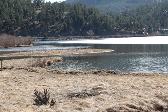 Enlarge photo 117