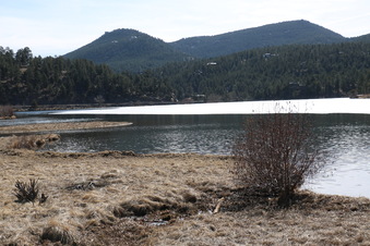 Enlarge photo 118