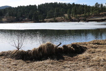 Enlarge photo 119