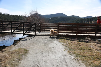 Enlarge photo 124