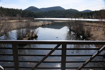 Enlarge photo 125