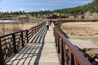 Enlarge photo 127