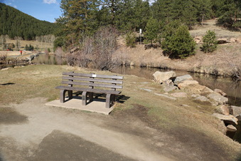 Enlarge photo 135