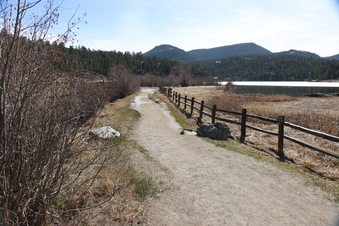 Enlarge photo 136