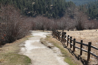 Enlarge photo 137