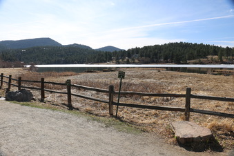 Enlarge photo 138