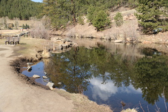 Enlarge photo 141