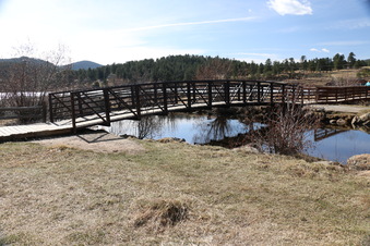 Enlarge photo 146
