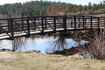 Enlarge photo 147