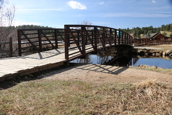 Enlarge photo 148