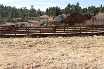 Enlarge photo 154