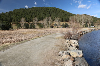 Enlarge photo 158