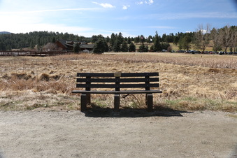 Enlarge photo 159