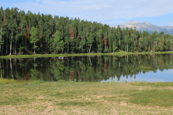 Enlarge photo 5