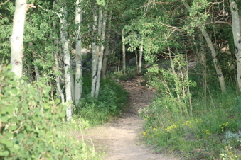 Enlarge photo 16
