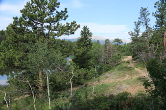 Enlarge photo 40