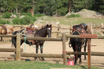 Enlarge photo 50