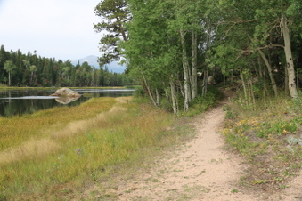 Enlarge photo 59