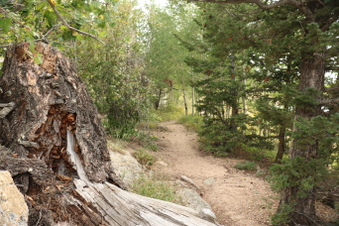 Enlarge photo 62