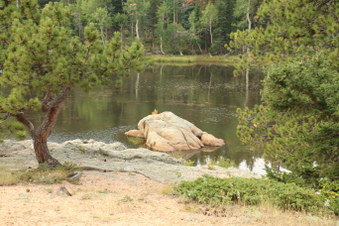Enlarge photo 65