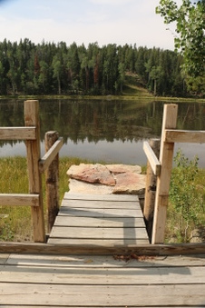 Enlarge photo 75