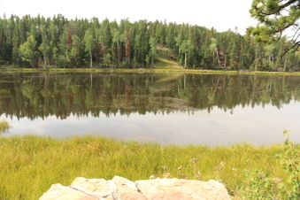 Enlarge photo 76