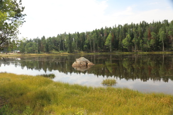 Enlarge photo 77
