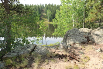 Enlarge photo 85