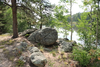 Enlarge photo 87