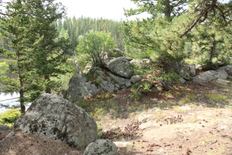 Enlarge photo 88