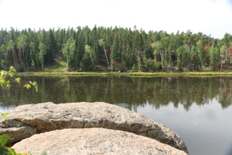 Enlarge photo 93