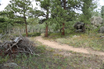 Enlarge photo 98