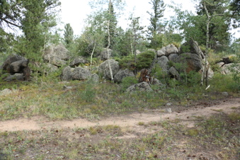 Enlarge photo 99