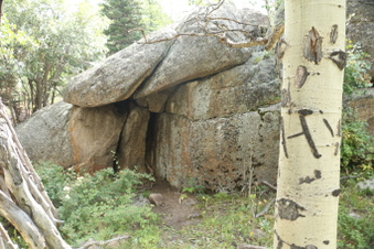 Enlarge photo 102