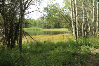 Enlarge photo 109