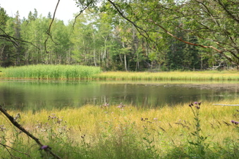 Enlarge photo 110