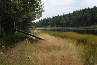 Enlarge photo 112