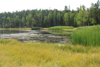 Enlarge photo 116